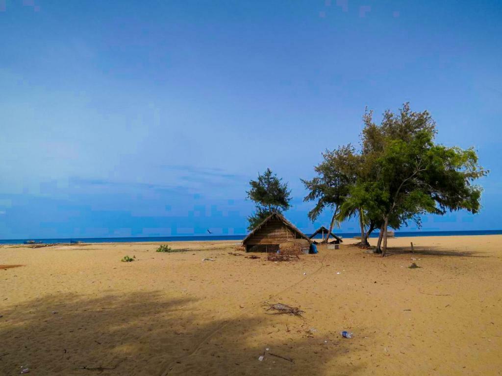 باتيكالوا Neem Garden Guest House المظهر الخارجي الصورة